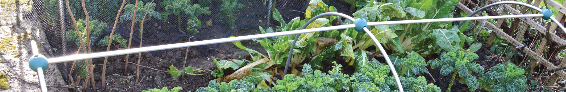 Plant Cloches & Grow Tunnels