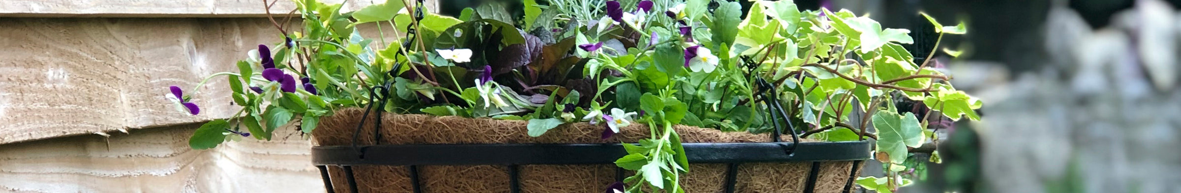 Metal Hanging Baskets