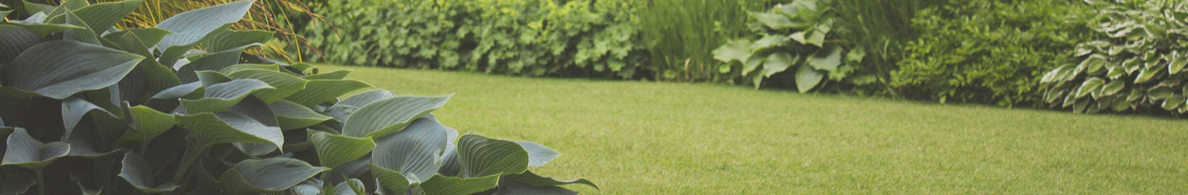Lawn Care Tools