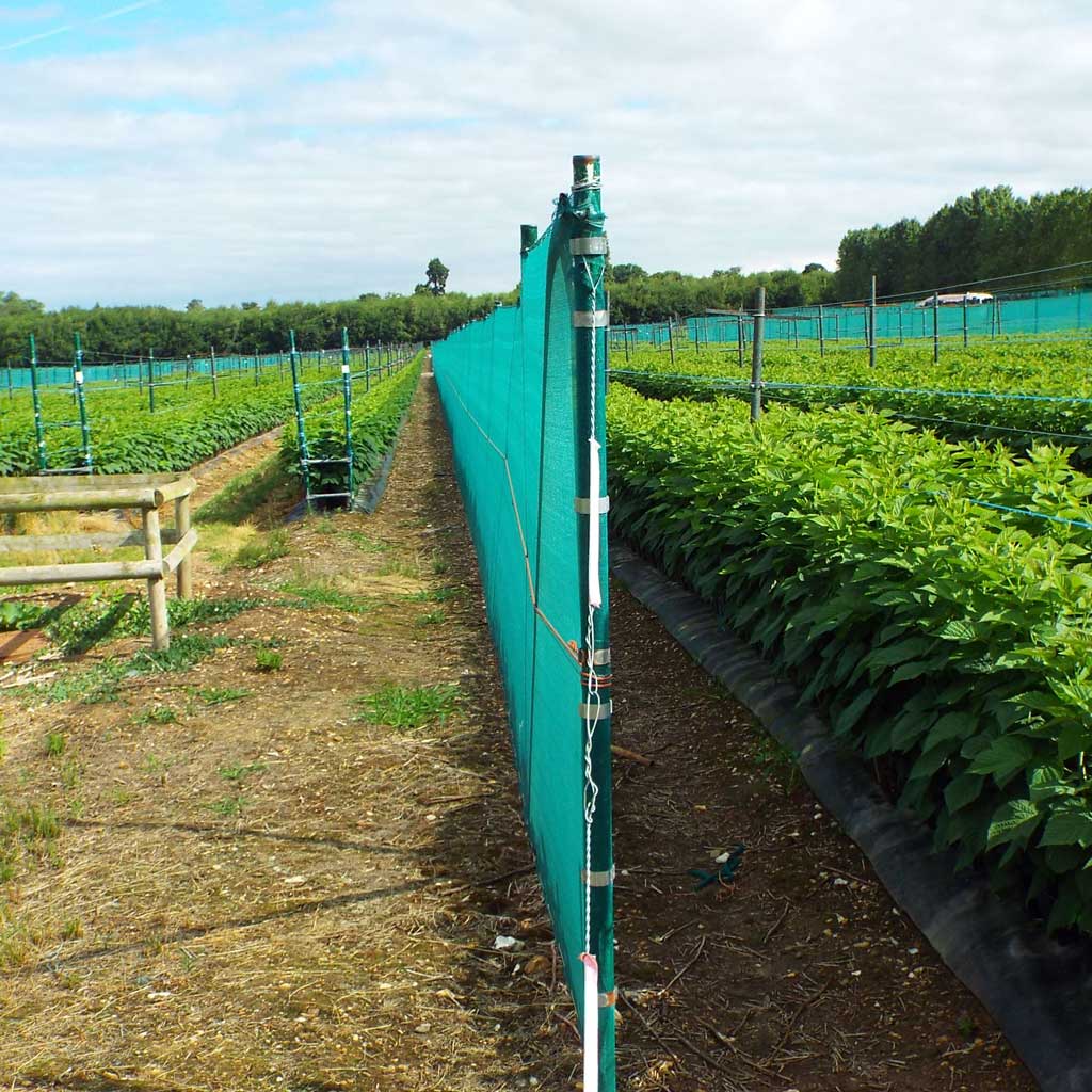 protection netting for crops