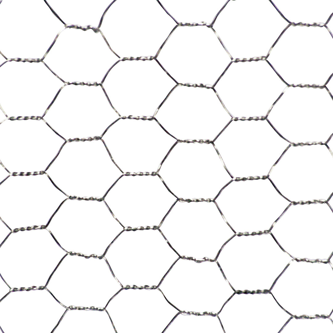 Galvanised Wire Net on a white background