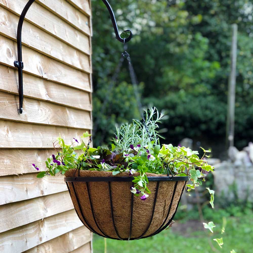 hanging basket with plants