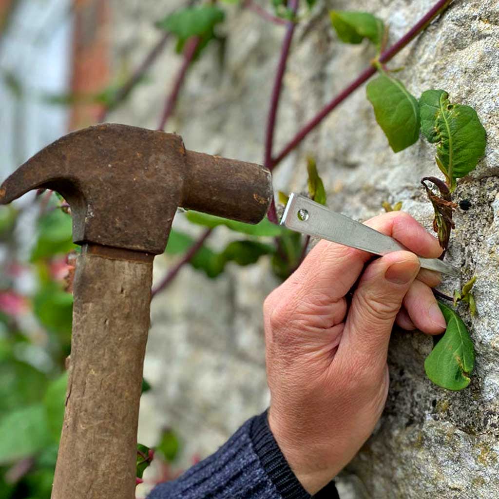 hammering vine eyes into a wall