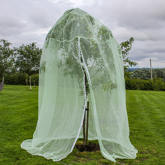 Fruit Tree Protection Net 2m - Knowle Nets