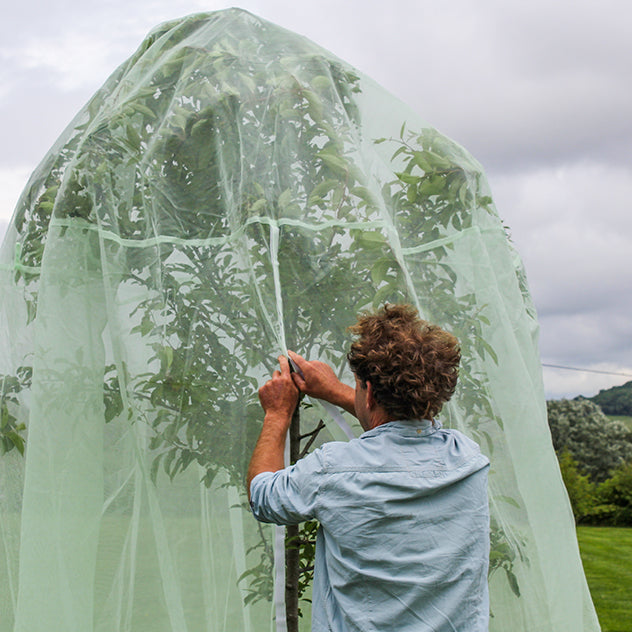 Fruit Tree Protection Net 2m - Knowle Nets
