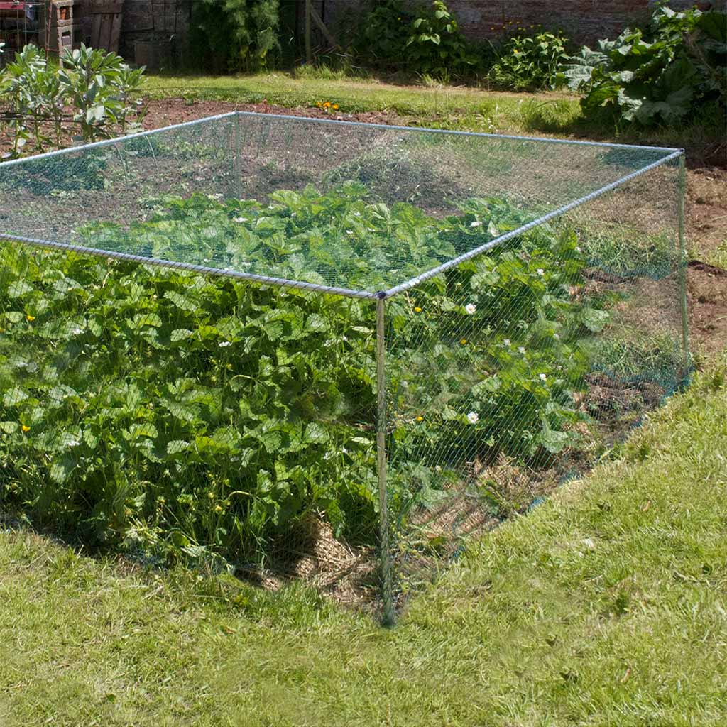 Aluminium Low Fruit Cage - Knowle Nets