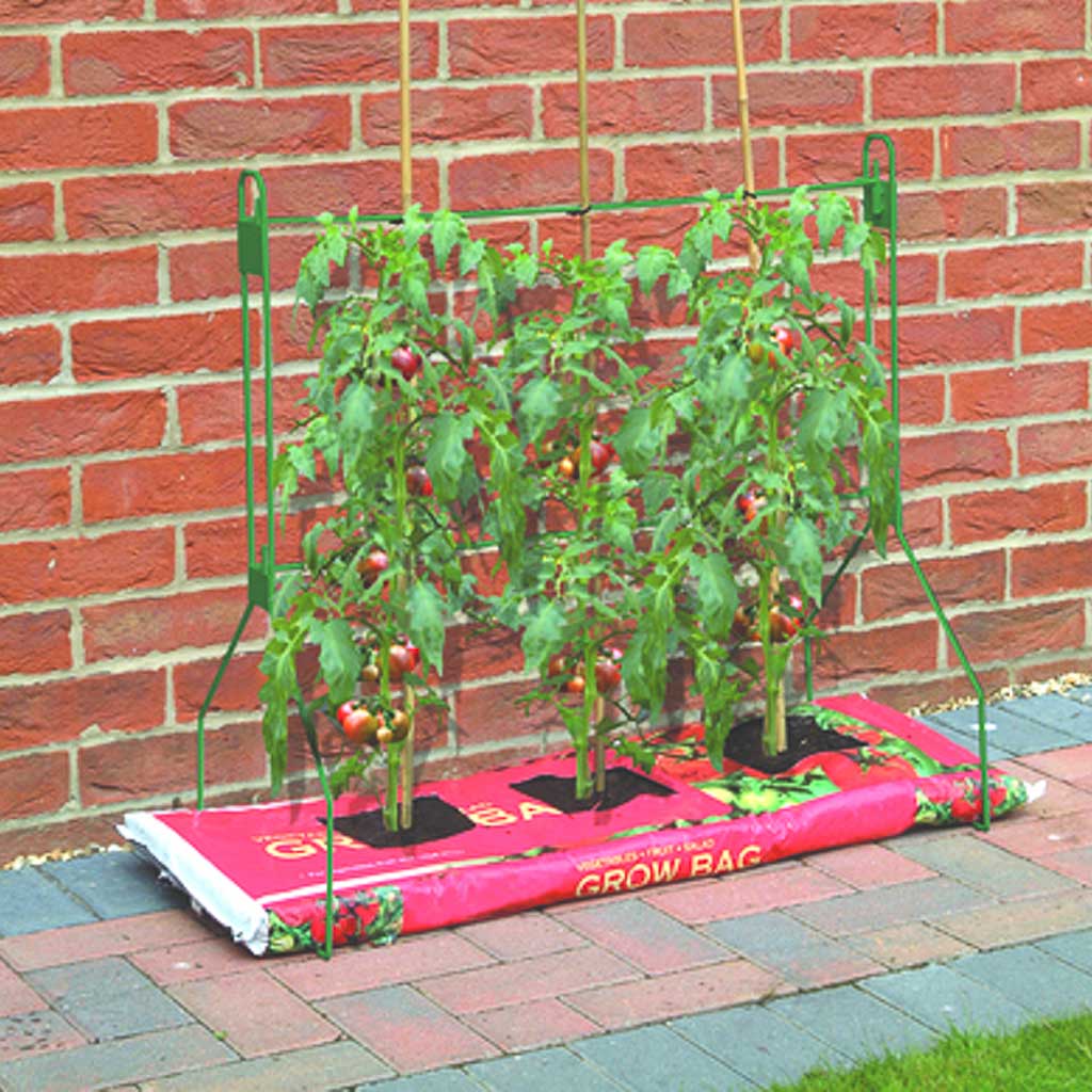 supporting tomato plants in grow bags Gro Bag Frame