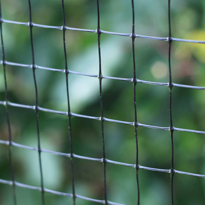 Pond Netting | 25mm x 30mm Heavy Duty Extruded Net | 3m Width - Knowle Nets
