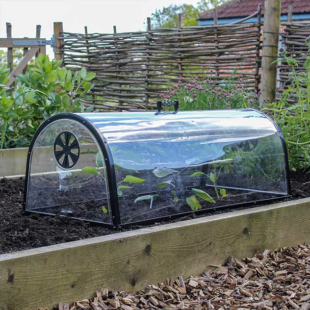 plastic cloches for garden plants Kitchen Garden Cloche