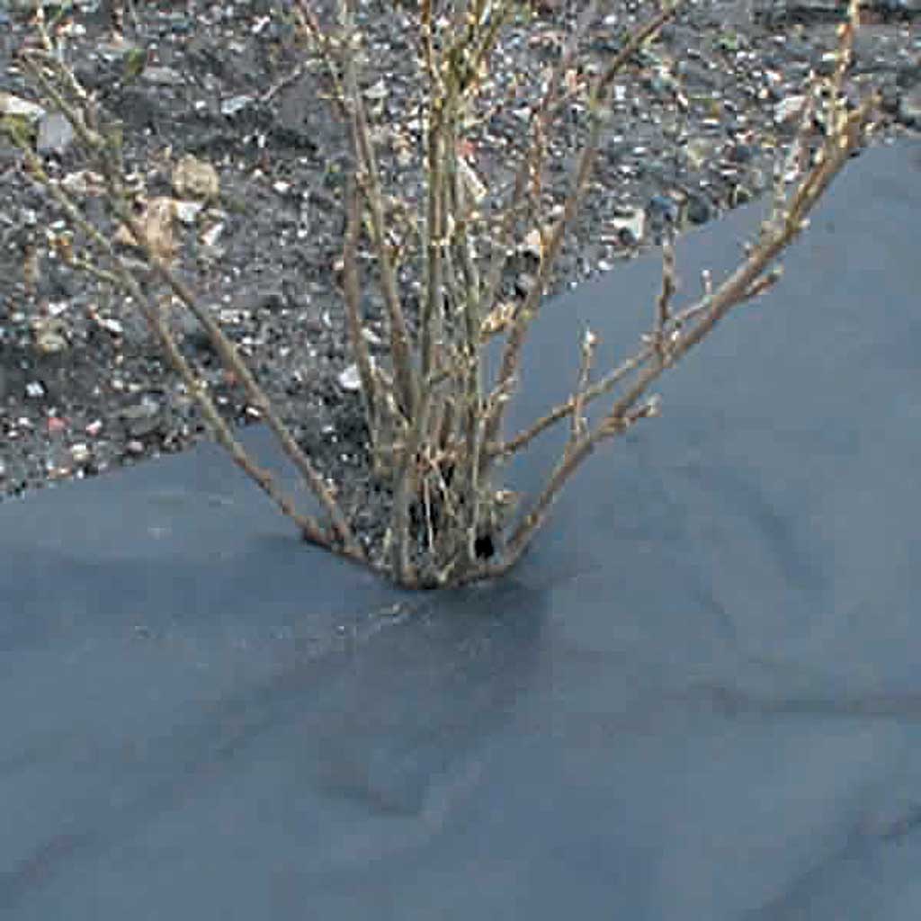 Mulching Fabric Weed Control Knowle Nets