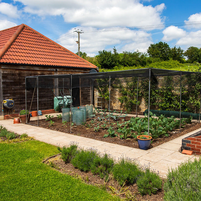 Fruit Cage Ideas: Planning Your Fruit Cage Layout