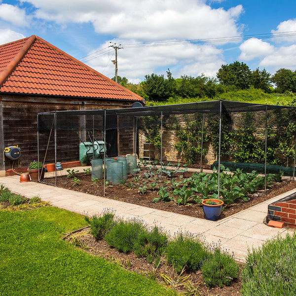 Planning Your Fruit Cage Layout