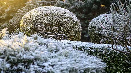 Garden Checklist For January