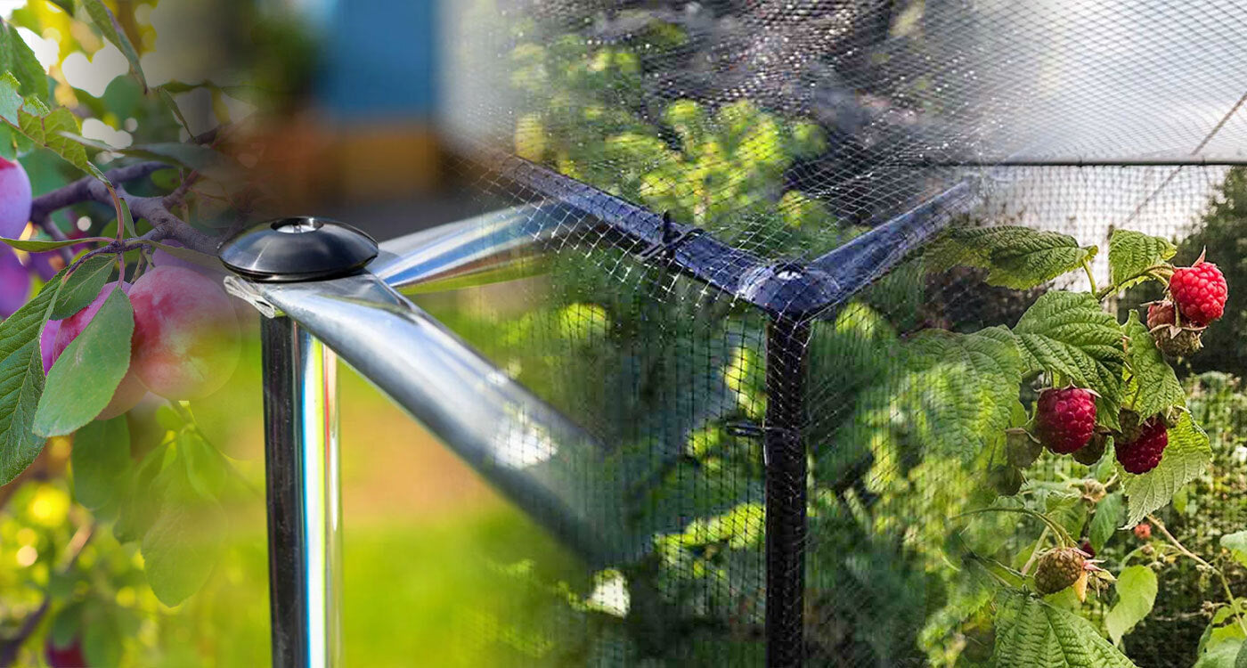 an aluminium fruit cage with fruit