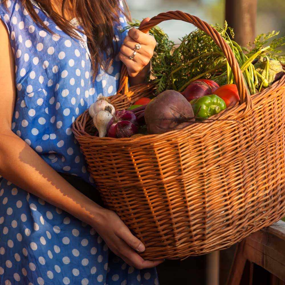 Vegetables to Grow in August