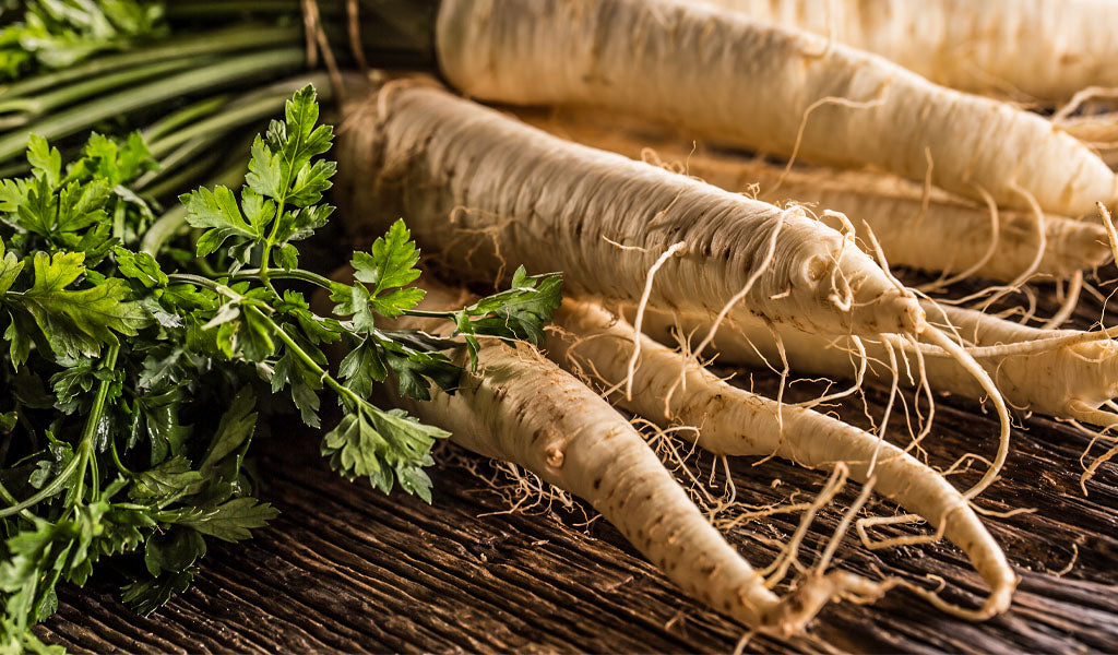 freshly grown parsnips