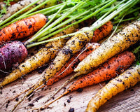 Carrots Grow Guide