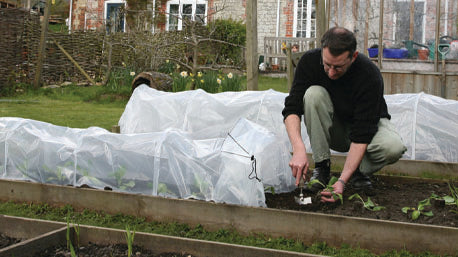 5 Ways To Protect Your Plants in Winter