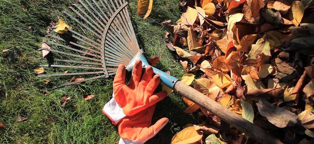 September Garden Checklist