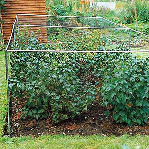 Low Fruit Cages