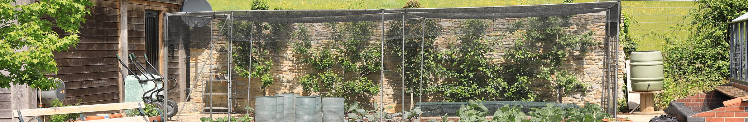 Walk-in Fruit Cages