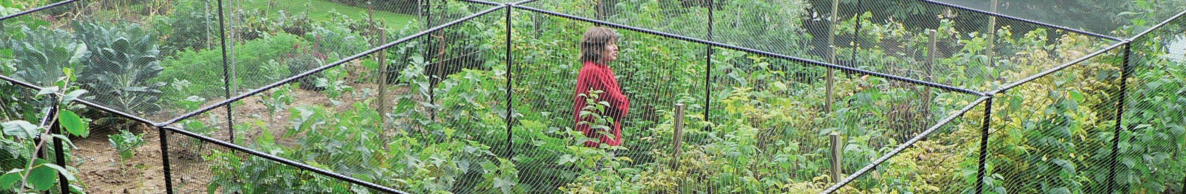 Walk-in Fruit Cages - Steel