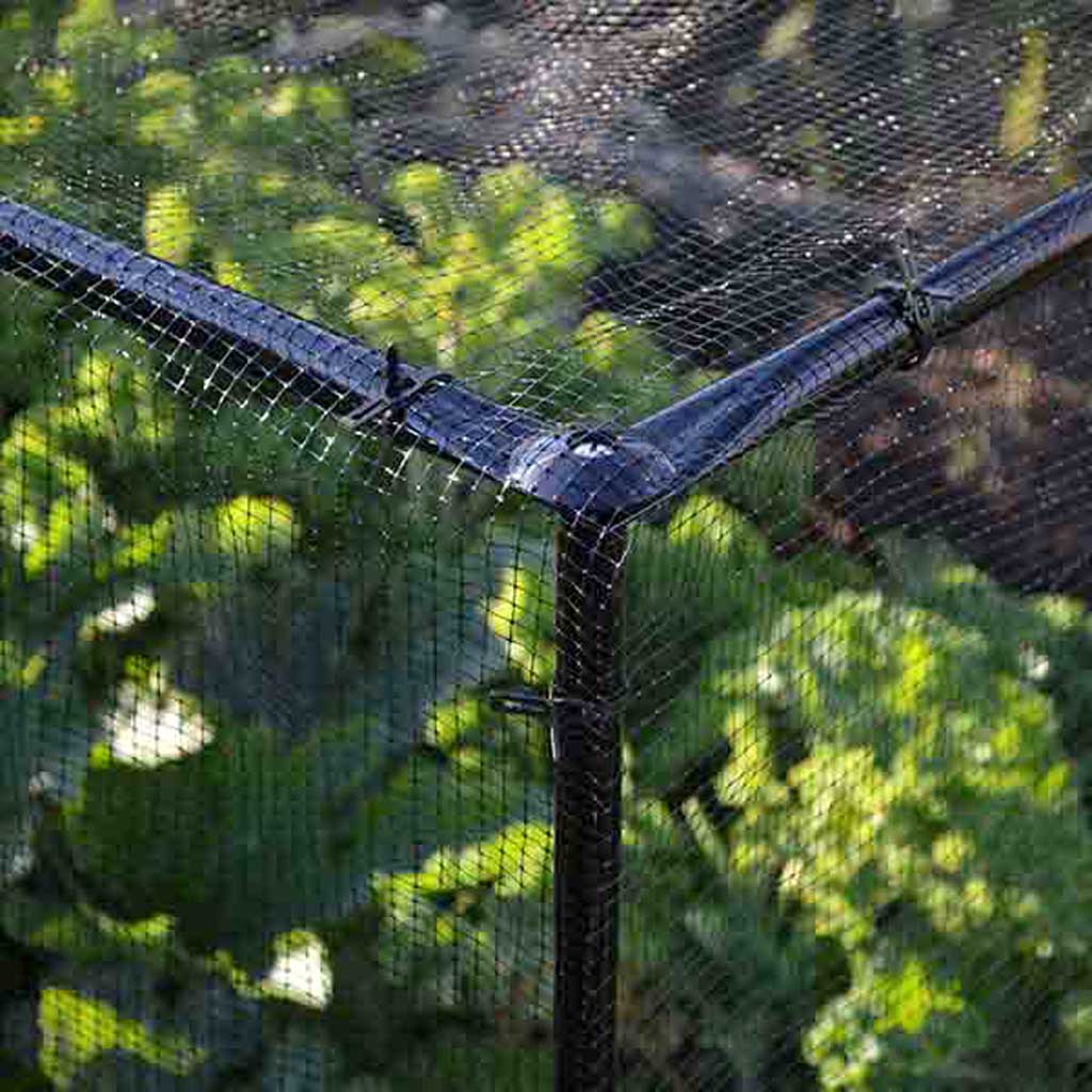 steel-vegetable-cage-hero