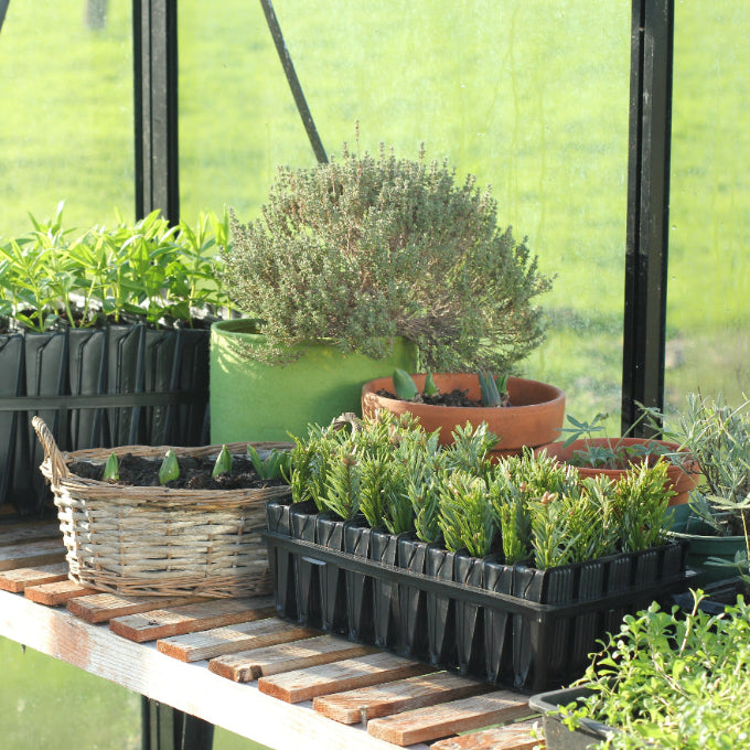 Greenhouse Accessories