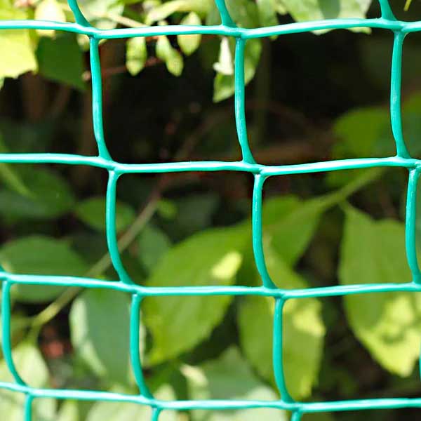 Plastic Mesh