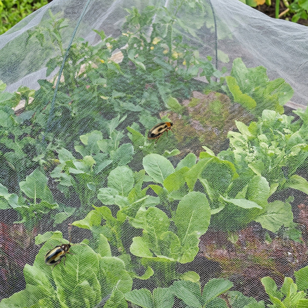 Insect Netting