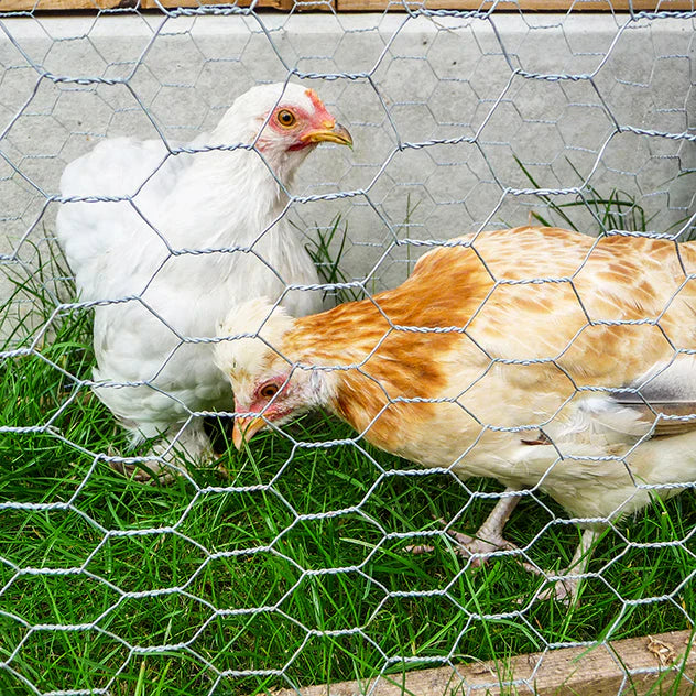 Multi-Purpose Mesh