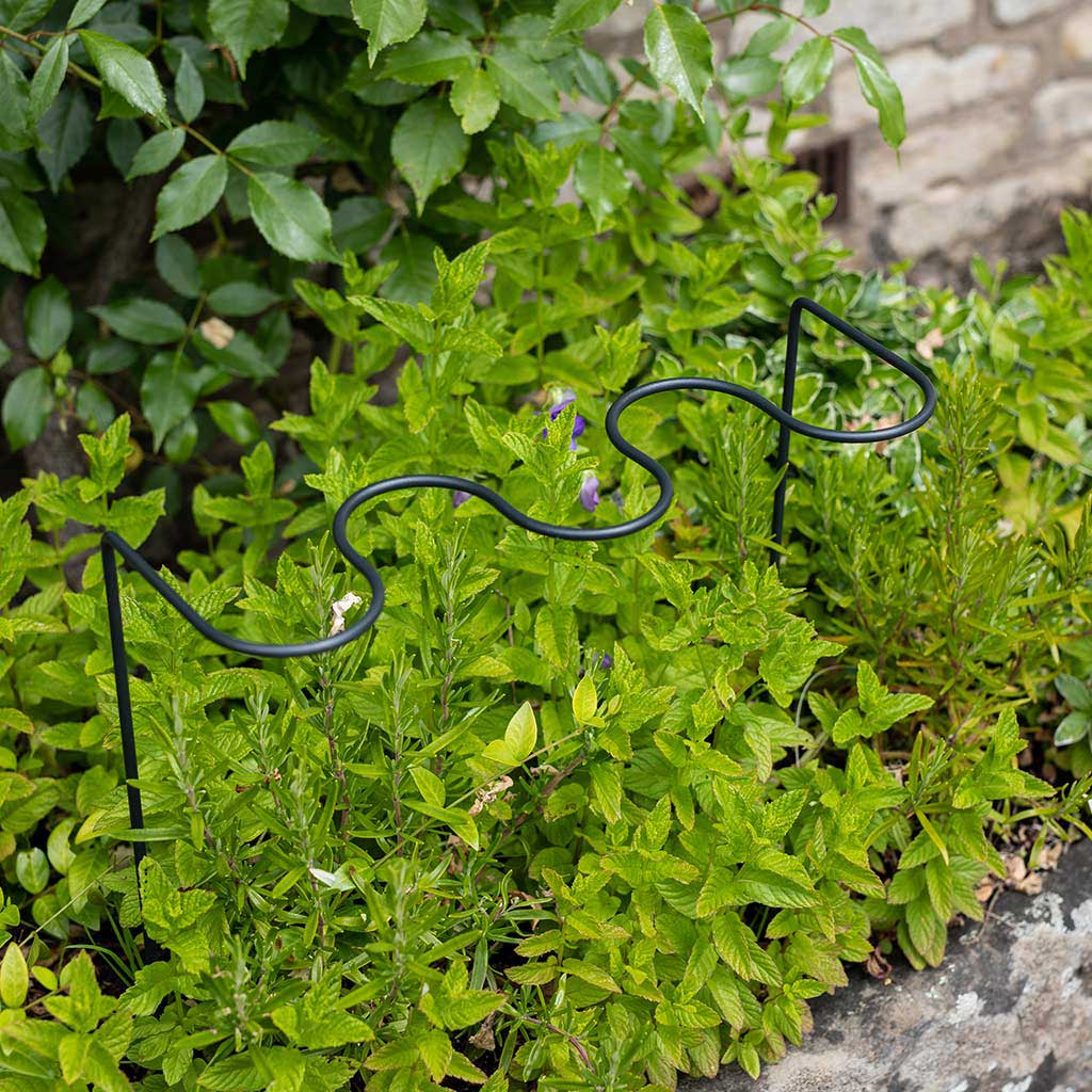 a garden plant support amongst flowers