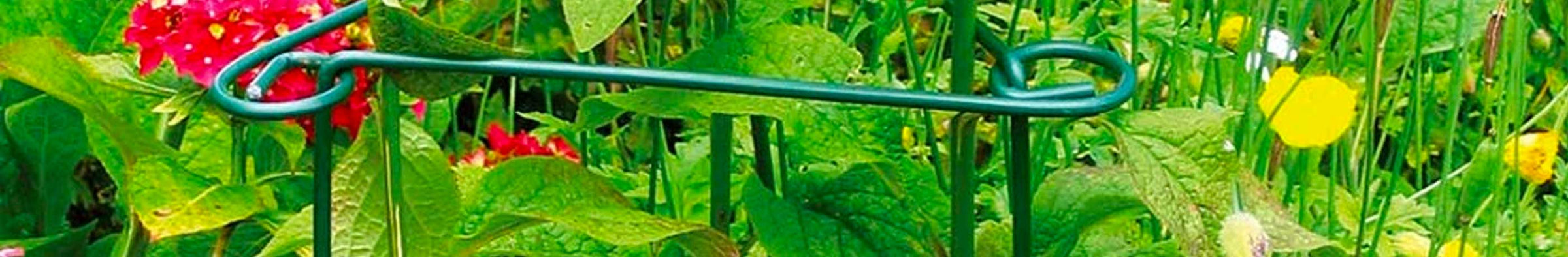 a garden plant support amongst flowers