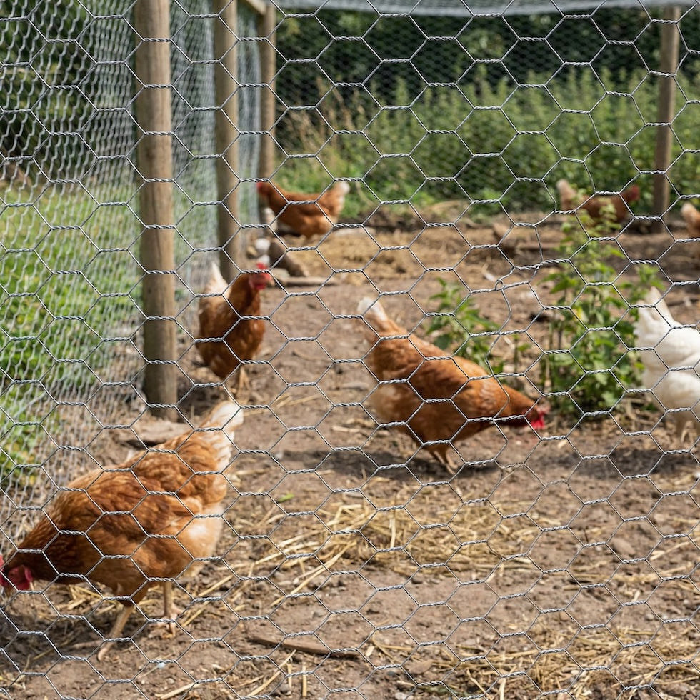 Poultry Netting