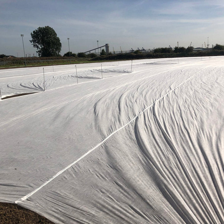 germ sheet covering ground outdoors with trees and infrastructure in the background