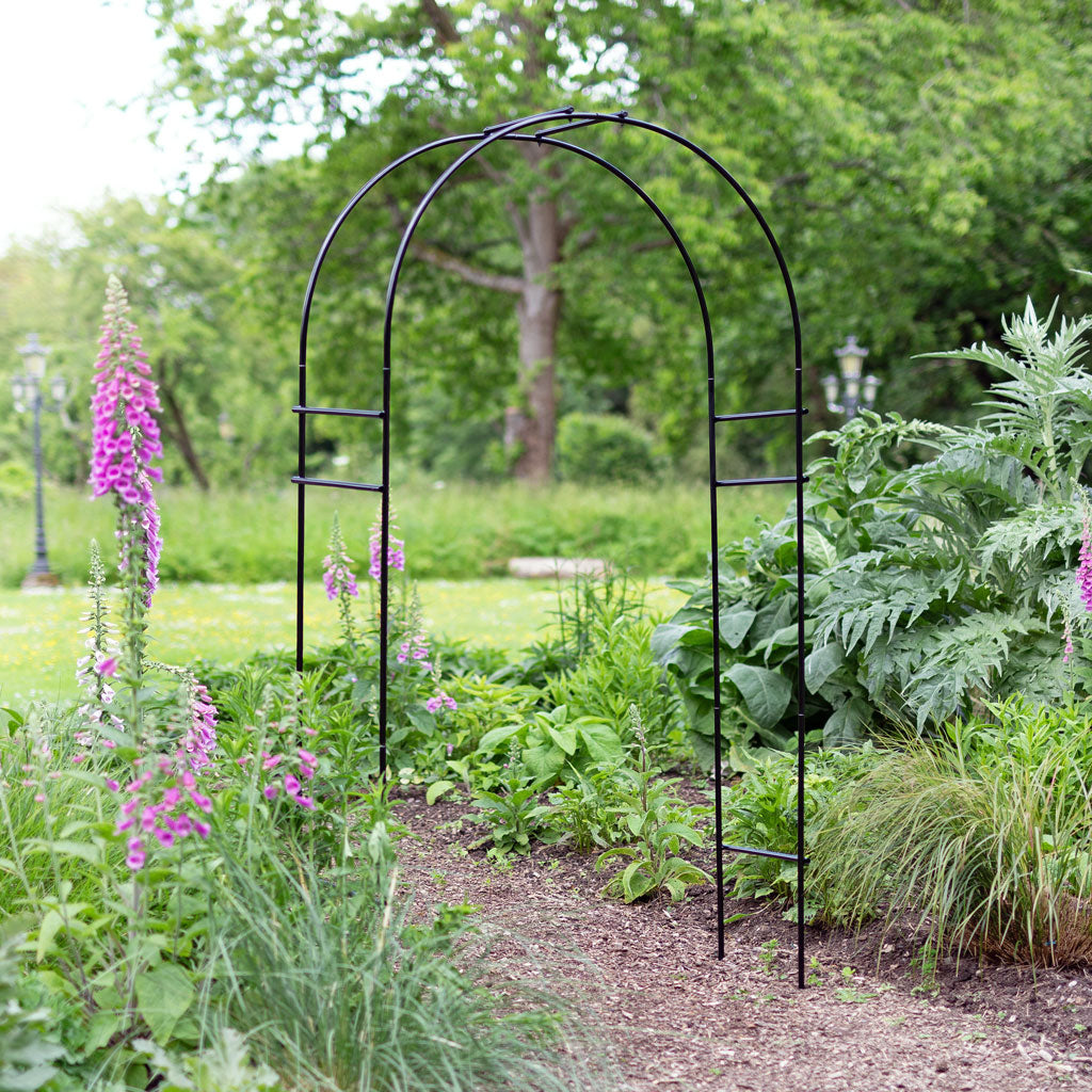 Round Black Metal Garden Arch