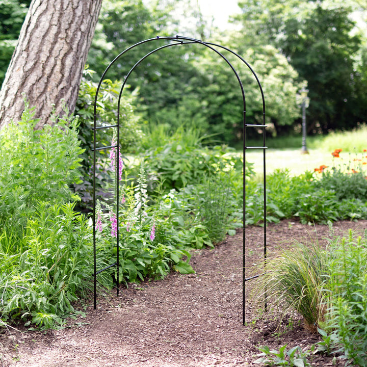 Round Black Metal Garden Arch