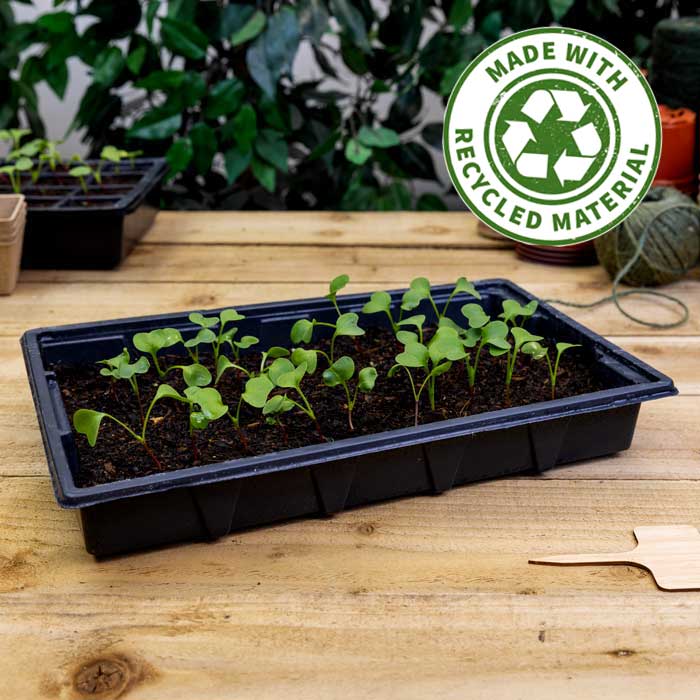 Seed Trays (5 Pack)