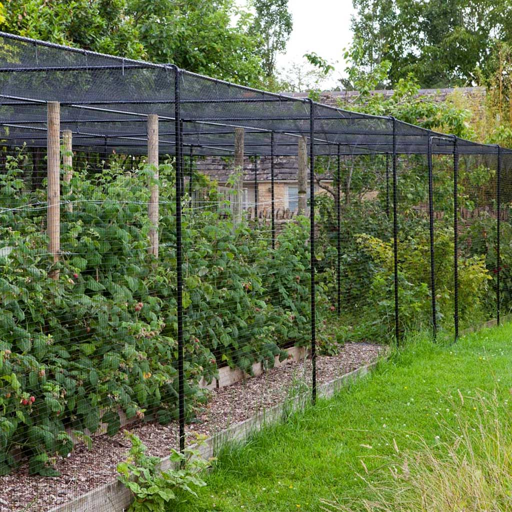walk in fruit cage covered with a protection net