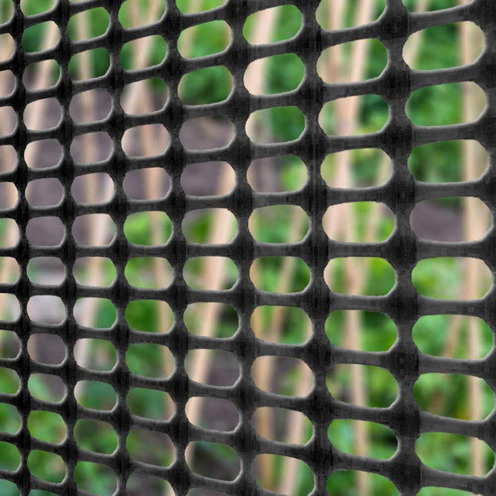 black plastic garden netting over crops