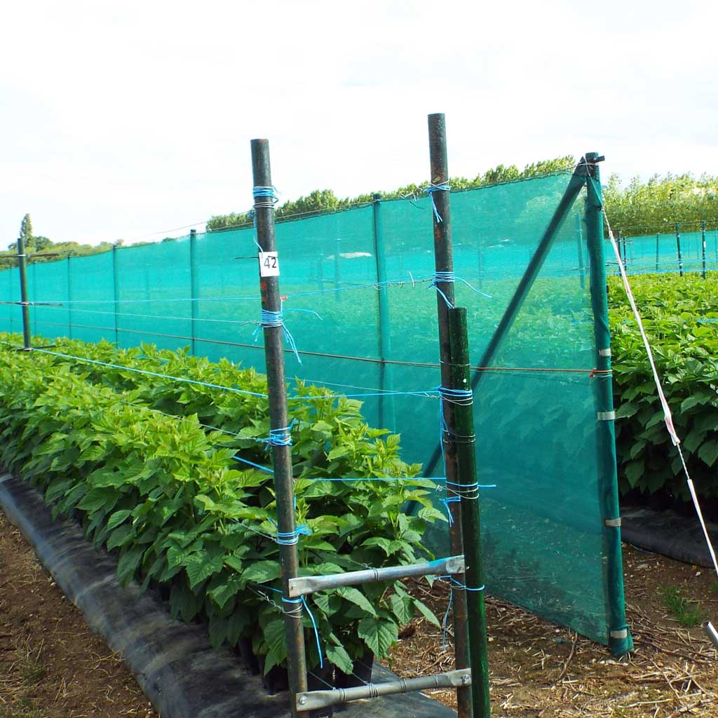 fabric protection crops on farm