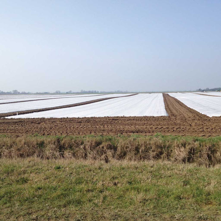 fine micro fibre fleece mesh over fields of crops used as crop protection
