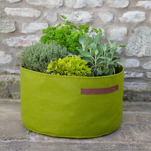 Vigoroot Herb Planter