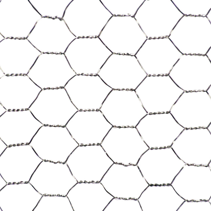 Galvanised Wire Net on a white background