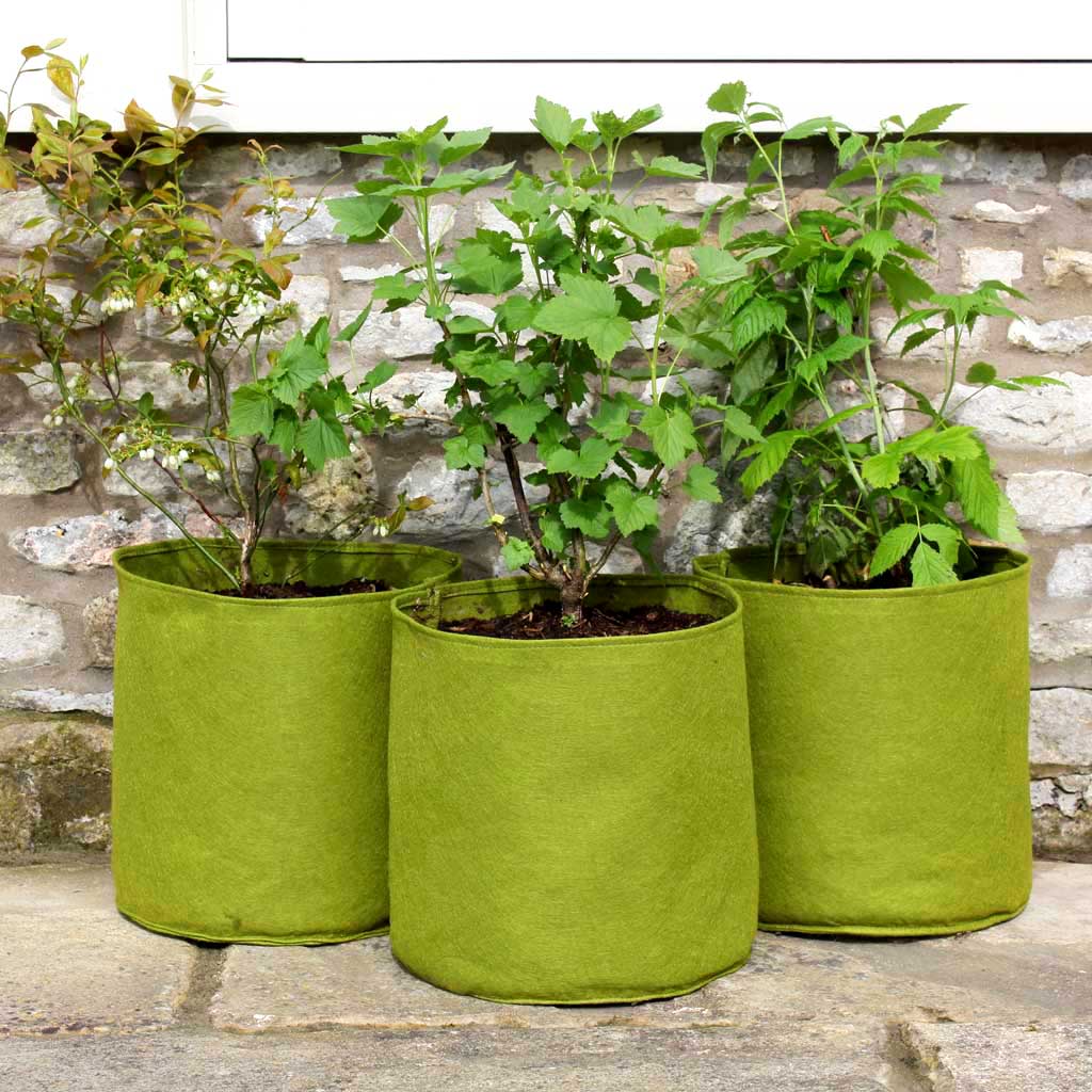 Vigoroot Pots  (3 pack)