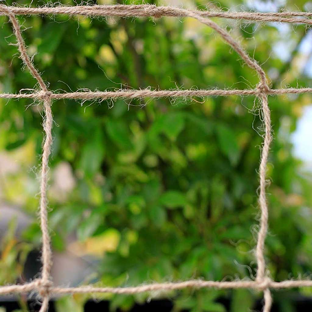 Close-up of jute twine against a blurred green foliage background