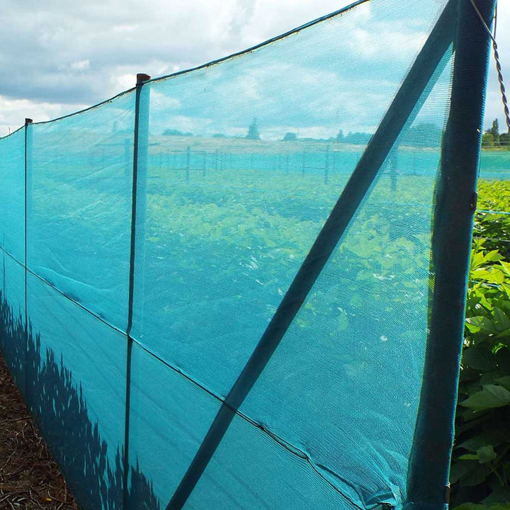 green netting protecting crops