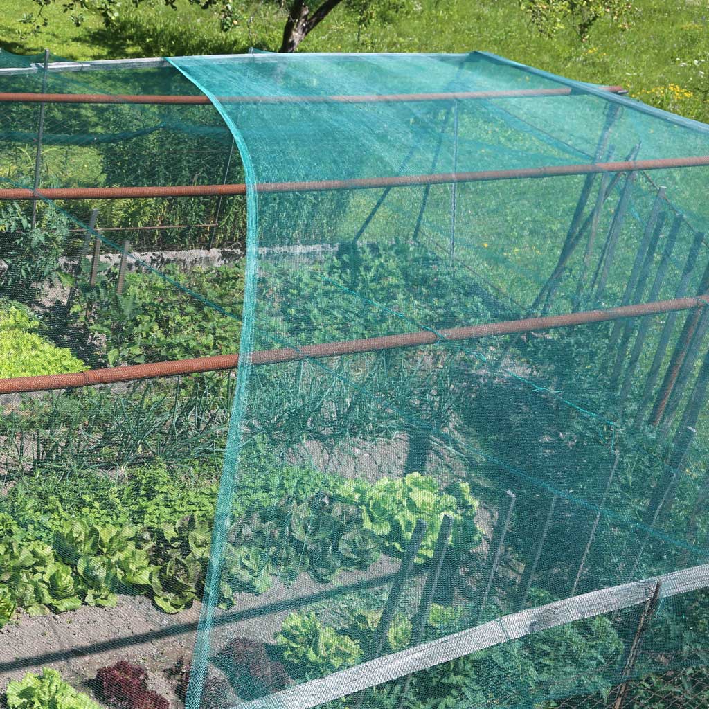 mesh netting over crops