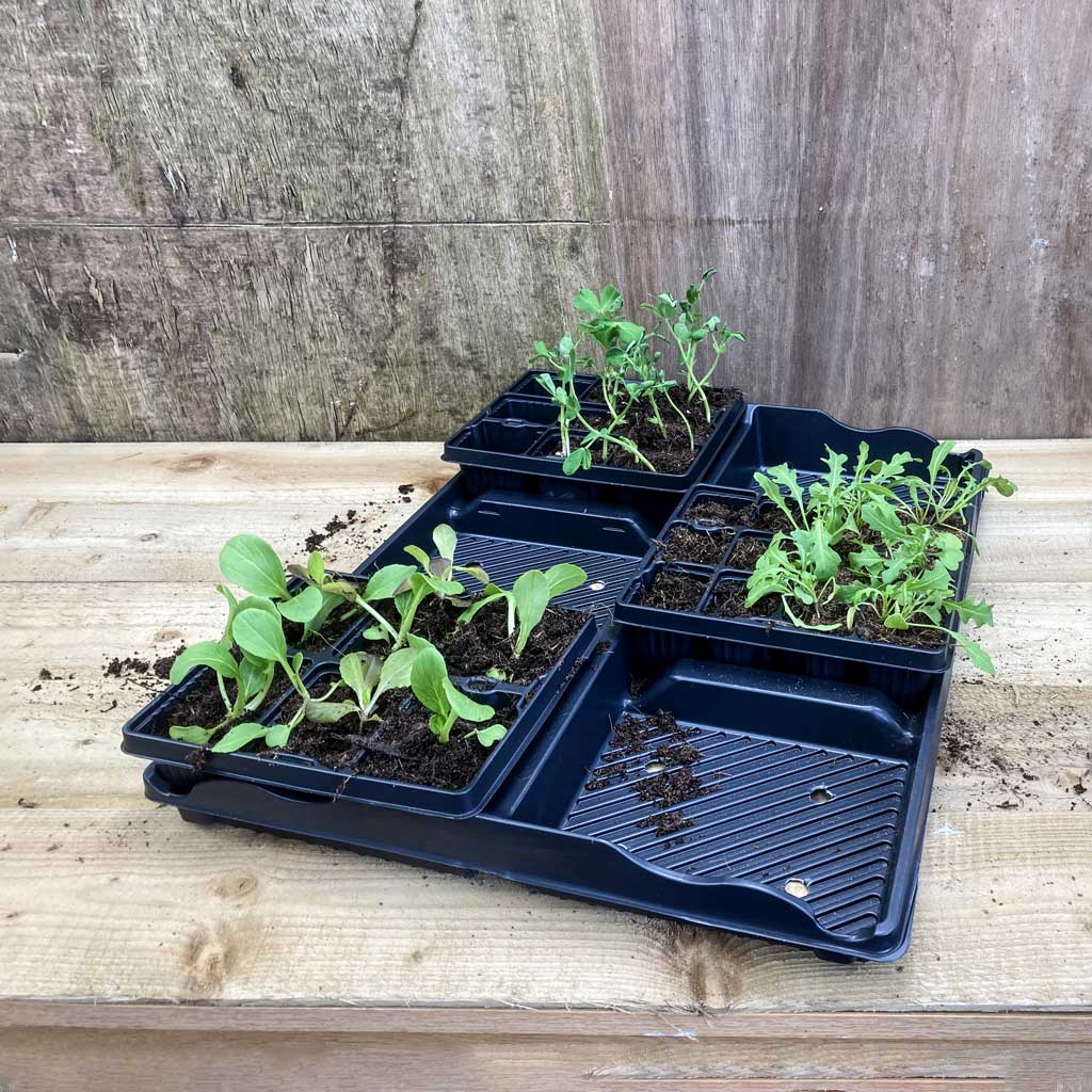 cell trays for plant propagation