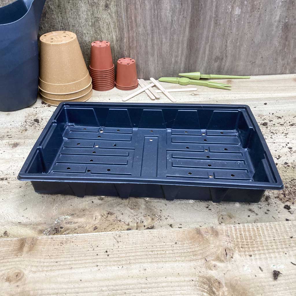 Seed Trays (5 Pack)